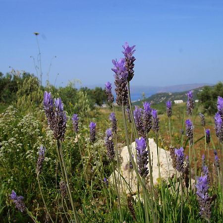 Mulberry Hill - Amazing Panoramic Views - Kissamos Appartement Buitenkant foto